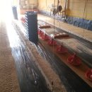 감곡양계 이미지