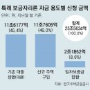 특례보금자리론 재원 늘려 연말까지 공급… 두달새 65% 소진 이미지