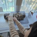 연우네 농장 이미지