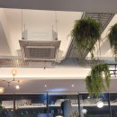 비바 휘트니스 이미지