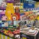 펫스토어 | 4월 판교 현대백화점 펫 플래닛 팝업스토어 직접 방문한 후기