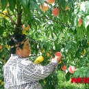 중앙앵글 - 남구 대남대로 302-1 | 중앙앵글