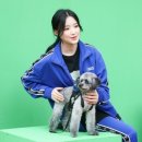 하쿠 이미지