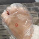 수북한농심 | 22/03/08-13 항상 하늘과 바다의 중간으로만 날아라 (민토초코토끼밍쪼의일상 / 보조배터리수리...