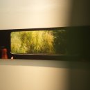 헤어재인 이미지