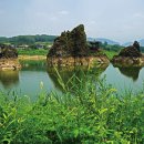 영주어머니 이미지