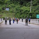 하곡농장 | 【2025.07.05】31. 영월 김삿갓 계곡과 마대산 처녀봉 산행