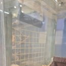 엔젤아쿠아펫가든 이미지