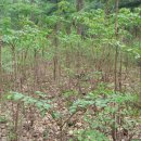 방글농장 이미지