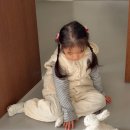 캣츠몰 | 모이몰른 캣츠 후드 경량 패딩 조끼 후기｜유아 겨울 데일리룩 코디