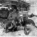 BIG GAME STATION 이미지