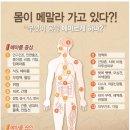 대치필리아약국 이미지