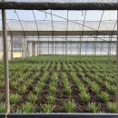 단석리산촌생태마을 이미지