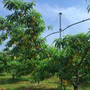 지희농장 이미지