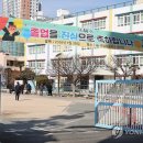 괘법초등학교 이미지