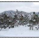 소성농장 이미지