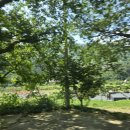 청학동 관광안내소 | [하동으로, 여행가자 12] 지리산 화개 탐방안내소에서 배우고, 하동읍 롯데리아에서 반하고, 갈사행...