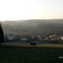 미(美)헤어샵 이미지