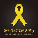 Re: 노란 리본 달기 캠페인 - 노란 리본 의미와 유래 이미지