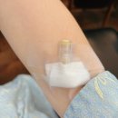 희망찬동물약국 | 생애 첫 대장내시경 후기 (+음식 조절/오라팡)