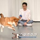 노아 이미지