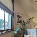 대신연쇄점 이미지