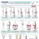 피트니스 뭅 이미지