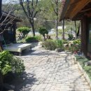 엄마와 까치집 두개 이미지