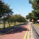 정림서로 이미지