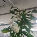 리더스안경원 이미지