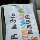 방이우리들안경 | 보홀 체크아웃 투어(초콜릿 힐, 쇼핑몰, 안경원숭이, 맨 메이드 포레스트, 스파) 비바 트립 후기