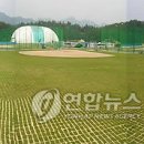강진베이스볼파크펜션 이미지