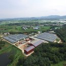 봉동농장 이미지