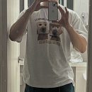 브레드댕댕 이미지