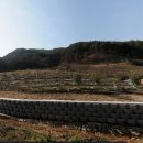 진보공인중개사사무소 이미지