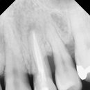 향남바른치과의원 이미지