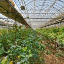 신척농장 이미지