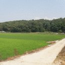 송해면-6 이미지