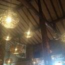 숲속의 섬 이미지