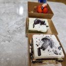 투썸플레이스익산영등점 | 투썸플레이스 조각케이크 후기