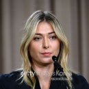 정지로2 이미지