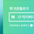 트리니티디앤씨더위크앤리조트 네이버블로그