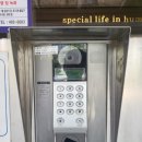 신각길2 네이버블로그
