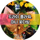 도운화원