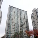 정자로41번길 이미지