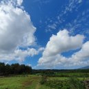 휴고김밥 | 제주올레트립 한라산둘레길 트레킹 인솔 후기 (25년 9월/배효진 인솔자)