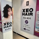 다미헤어샵 - 서귀포시 일주동로 8600 | 화정미용실 제오헤어 화정역점 시카클리닉 받고 힐링까지 완벽했던 후기