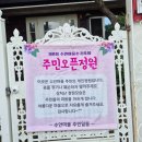 개화마을 | 경남 김해 수국 수안마을 개화상황 주말 방문후기
