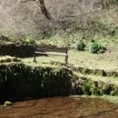 제비2리 이미지