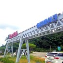 동양바이크 | 영종도씨사이드레일바이크 뷰좋은액티비티 바다나들이 기본정보포함 내돈내산찐후기